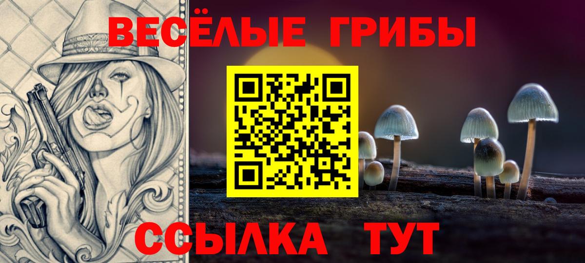 Псилоцибиновые грибы MAGIC MUSHROOMS  Вход с VPN  Галлюциногенные грибы Psilocybine cubensis  Таганрог 